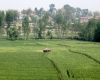 NEPAL property land
