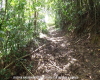 Land for Sale in Trinidad