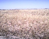 ZIMBABWE property Darwindale view