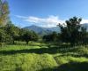 IRAN property 