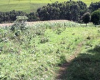 KENYA property Land for Sale in Nyamira