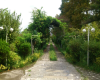 View from the front of the garden