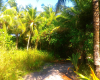 MALDIVES property 