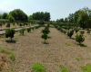 IRAN property Property for sale in Mazandran